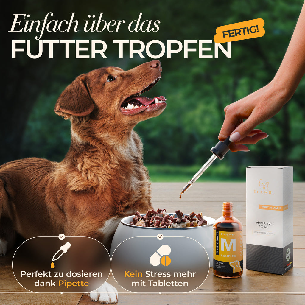 ENEMEL Multivitamin-Komplex für Hunde