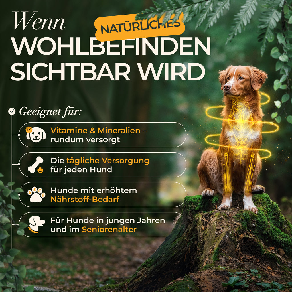 ENEMEL Multivitamin-Komplex für Hunde