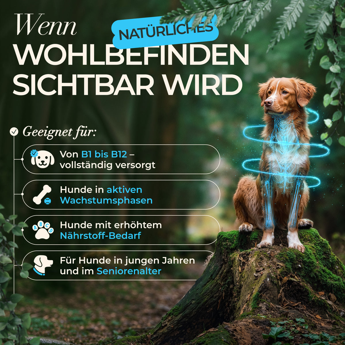 ENEMEL Vitamin B-Komplex für Hunde