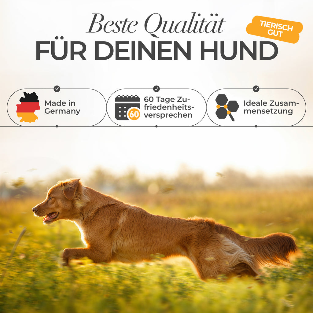 ENEMEL Multivitamin-Komplex für Hunde