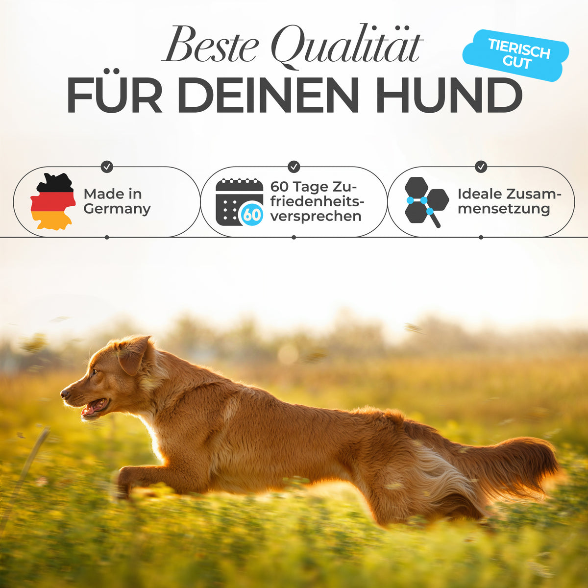 ENEMEL Vitamin B-Komplex für Hunde