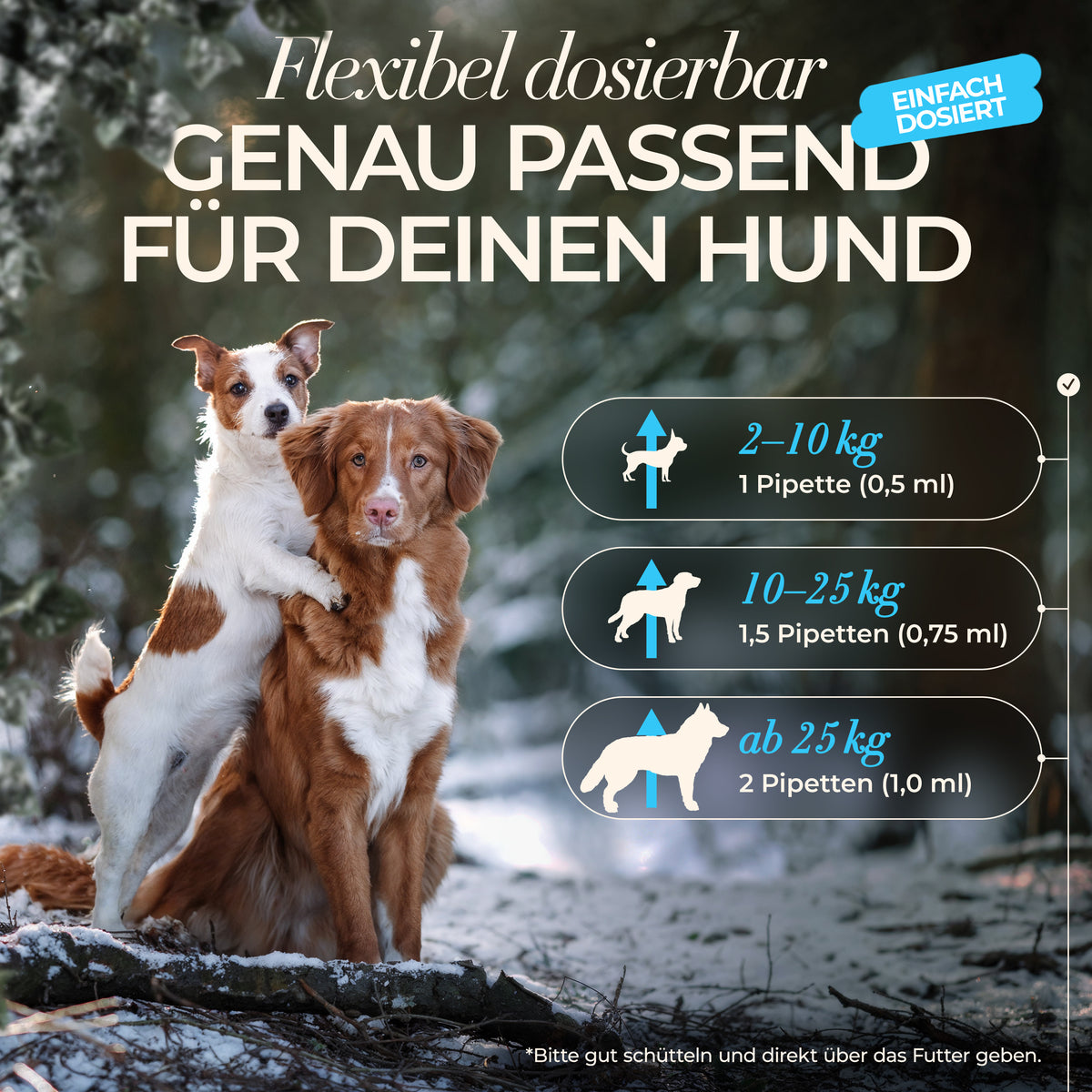 ENEMEL Vitamin B-Komplex für Hunde