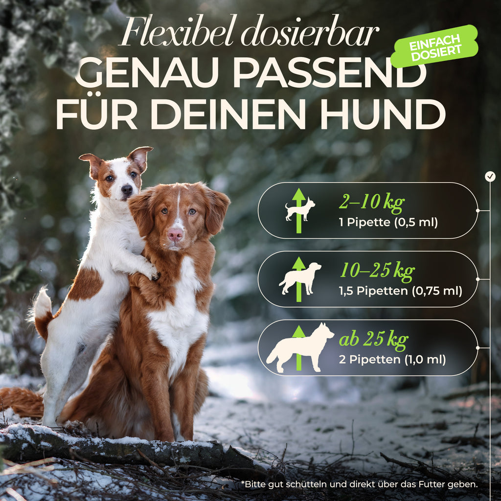 ENEMEL Gelenk-Komplex für Hunde