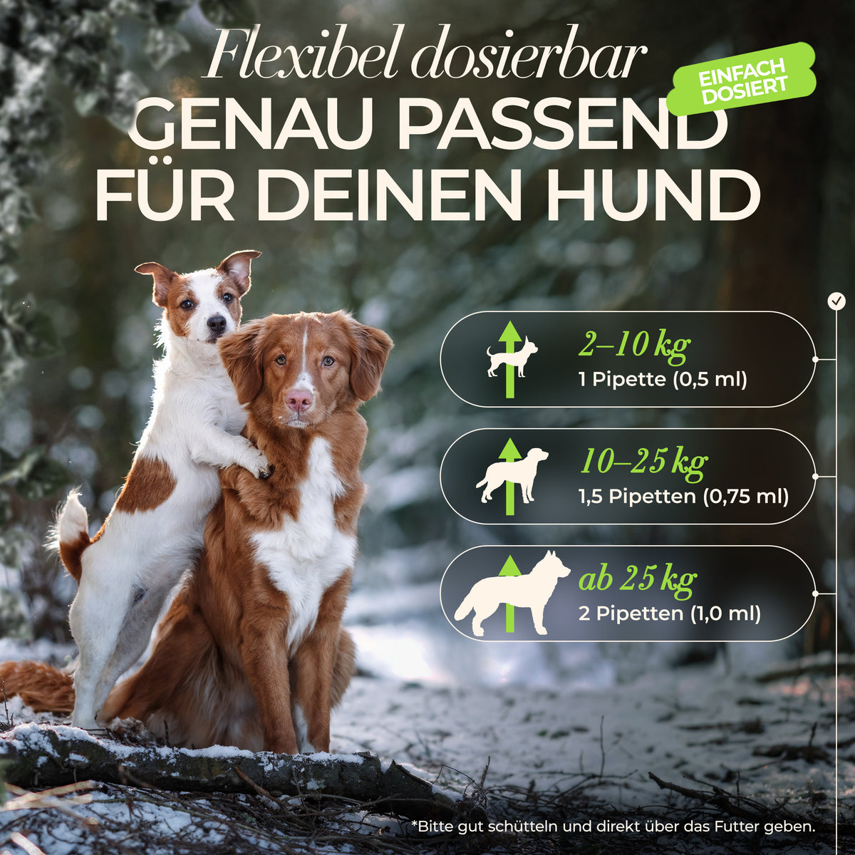 ENEMEL Gelenk-Komplex für Hunde