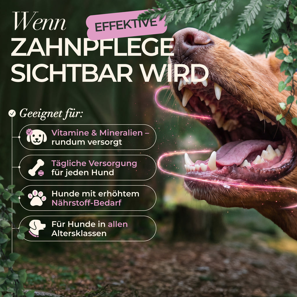 ENEMEL Dentalspray für Hunde