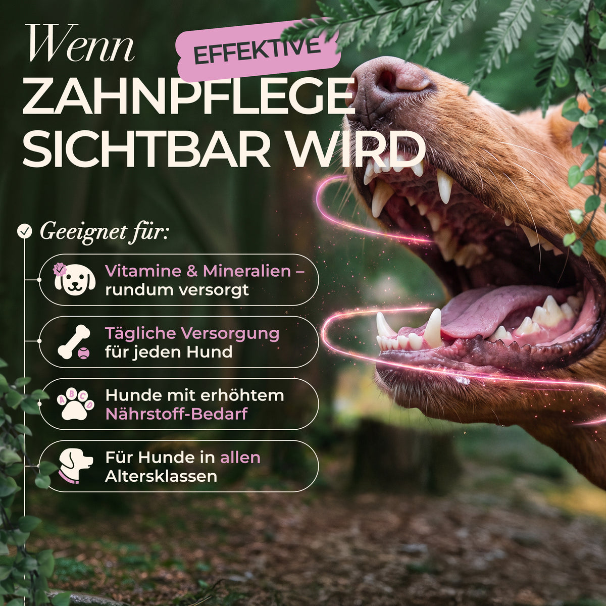 ENEMEL Dentalspray für Hunde