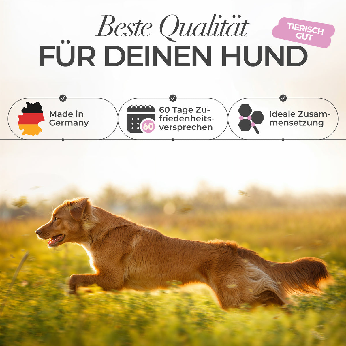 ENEMEL Dentalspray für Hunde