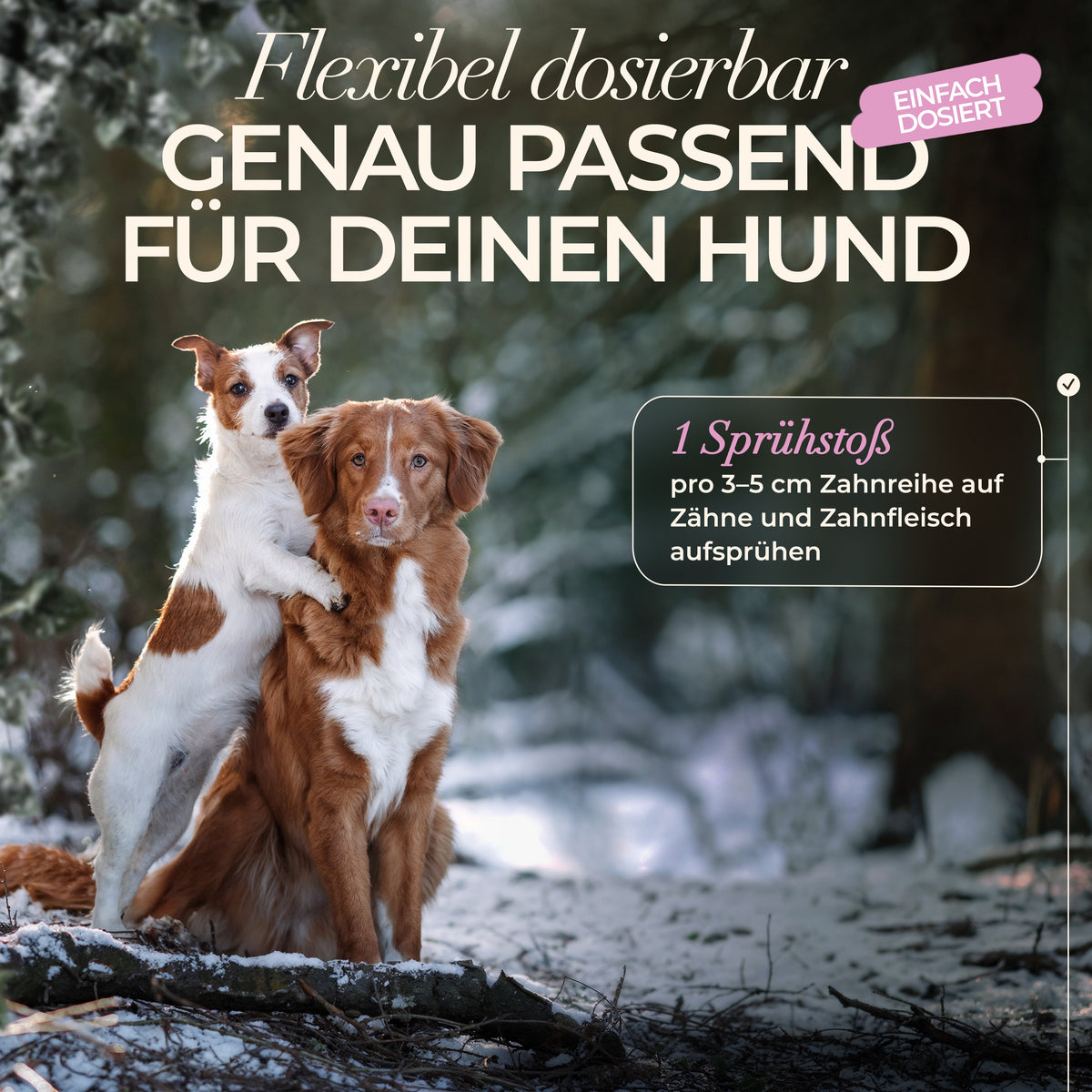 ENEMEL Dentalspray für Hunde