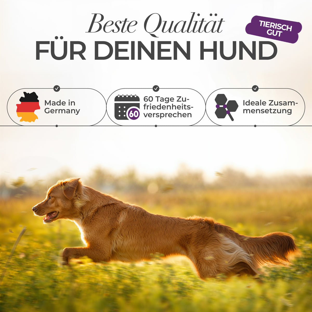 ENEMEL Fell & Haut-Komplex für Hunde