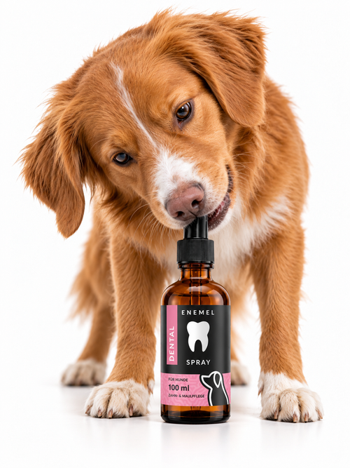 ENEMEL Dentalspray für Hunde